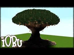 Giant Huge Tree Minecraft Timelapse Let S Build Youtube Minecraft Tree Minecraft Tree Designs