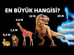 Dunya Nin En Buyuk 10 Hayvani Youtube