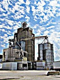 Feathery Sky And Grain Domestic Destinations Farm Buildings Kansas City