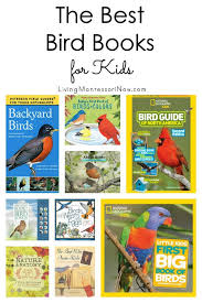Preschool Bird Songs For Kids The Best Bird Books For Kids Bird Book Preschool Books Bird Theme