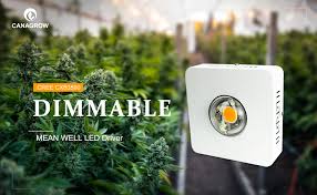 1000w watt cob led grow light full spectrum lamp plant hydroponics veg flower. Canagrow 100w Cree Cxb3590 Cob Led Grow Light Full Spectrum Led Grow Light For Indoor Plants Dimmable Meanwell Driver Wide Angle Glass Lens And Ultra Quiet Cooling Fan Designed For Special Plants