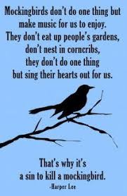 So why is page 174 of 'to kill a mockingbird' a meme now? To Kill A Mockingbird Book Party