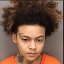 Clearwater dog breeder charged with animal cruelty Bonnie Milligan, 72,  appeared in Kamloops Provincial Court