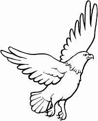 Bald Eagle Coloring Page Best Of Free Eagle Coloring Pages In 2020 Coloring Pages Animal Coloring Pages Eagle Animals