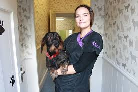 We did not find results for: Posh Paws Dog Grooming Salon Is A Lovely Friendly Clean And Modern Fresh New Salon Situated In Northumberland This Dog Grooming Salons Dog Grooming Grooming