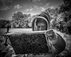 Drawing inspiration from 'the beekeeper,' angelina jolie's recent pictures from the viral photoshoot were released on the occasion of world bee day by photographer dan winters. Angelina Jolie Named Godmother Of Women For Bees