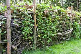Die Benjeshecke Wertvoll Und Artenreich Naturzaun Garten Landschaftsbau Garten