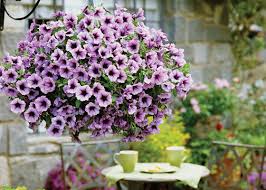 Check spelling or type a new query. Home Depot Near Me Flowers Home Decor