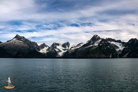 Hiking the exit glacier area provides some of the closest glacier viewing on organized trails in all of alaska. Whale Watching Im Kenai Fjords Nationalpark In Alaska