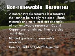 They would be n for nonrenewable. The Enviroment By 24kaelynq4492
