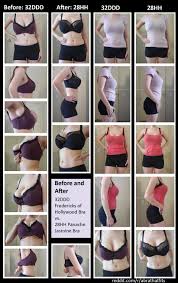 BlueRoza (uBlueRoza) - Reddit HD phone wallpaper