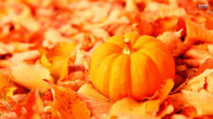 174 free images of pumpkin patch. 16 Autumn Pumpkin Wallpaper Hd Basty Wallpaper