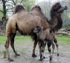 Only the best and interesting amateur photos of young beauties (pages: Pin On Nature