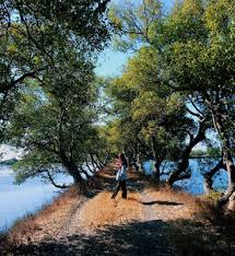 Tempat pariwisata kebun coklat balong bendo : 21 Tempat Wisata Di Sidoarjo Yang Wajib Dikunjungi Tahun Ini Harga Tiket Kepengen Wisata
