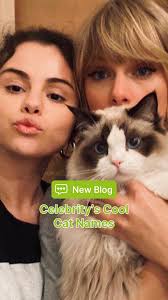Remember Taylor Swift cat's name? 💚👩🏼😻 Test your celeb cat knowledge  and see if you can match the star to their furry friend! , ➡️ Link in bio!,  #SkoonCatLitter #catlitter #nonclumping #odorfree ...