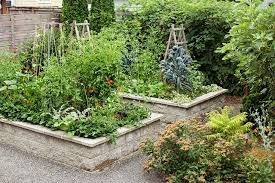 6 Ways To Master Sustainable Garden Design Sustainable Garden Sustainable Garden Design Garden Design