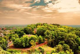 Heritage park is a 70+ acre park nestled in downtown cullman, al that is the center of cullman parks, recreation, &. Cullman County Al Data Usa
