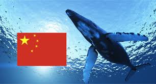 If speculation takes a back seat, it will no longer be difficult to see which cryptocurrencies. The China Effect On Blockchains And Cryptocurrencies Future By William Mougayar Blockonomics Blog Bitcoin Payments More