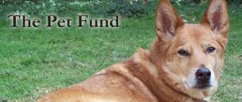Look for software that integrates your group's page into other devices like mobile devices. The Pet Fund Reviews And Ratings Sacramento Ca Donate Volunteer Review Greatnonprofits
