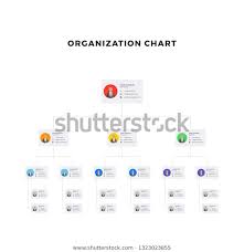 Organizational Structure Company Business Hierarchy