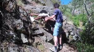 Free Public - Mountain Hiking Ends in Outdoor Sex- Ella b 2k Porn Video -  Ebony 8