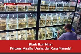 Bisnis Ikan Hias Peluang Analisa Usaha Dan Cara Memulai Lurus Id