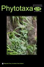 Image result for Rytigynia sp. M