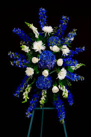 Check spelling or type a new query. Blue Beauty Stand In Davis Ca Strelitzia Flower Company