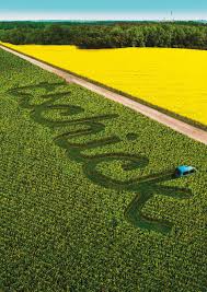 Tristan göbel, anand batbileg, mercedes müller and others. Zehn Jahre Tschick Briefe An Wolfgang Herrndorf
