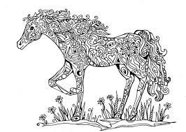 Egal welchen geschmack und welche vorliebe dein kind hat, es findet sich für jeden ein passendes. Pferde 14 Ausmalbilder Fur Erwachsene