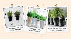 How to grow an herb garden in your kitchen. Spruce Up Your Kitchen With An Indoor Herb Garden
