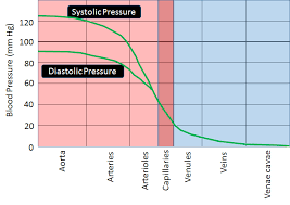 Image result for Pulse Pressure