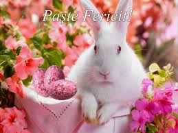 Poze, felicitari paste pentru facebook. Paste Fericit 2011