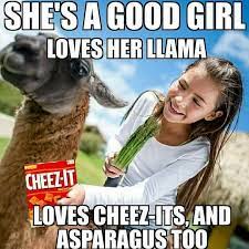 Mar 08, 2017 · all four daddy (4.54): 14 Funny Music Lyric Memes Factory Memes