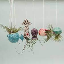 small collection of 5 octopus garden hanging air plant etsy in 2021 holders plants holder terracotta wall hung planter