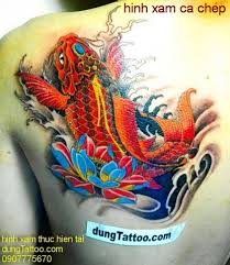 Những chú cá chép được các họa sĩ vẽ trong bức tranh cá chép vượt vũ môn hóa rồng hiện lên với những hình tượng đầy sống động, chúng bơi lượn với những màu sắc sặc sỡ độc đáo, mang đến không khí trang nhã, đầy tôn nghiêm trong gia đình. Hinh Xam Ca Chep Don Gian Hinh Xam Ca Chep Dep Nhat Hinh Xam Ca Chep O Canh Tay Hinh Xam Ca Chep Hoa Van Hinh Xam Ca Chep Hoa Rong 3d