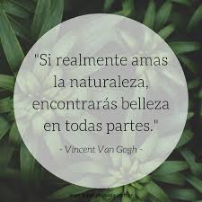 Una Vez Al Ano Frases De La Vida Frases Ambientales Frases Ecologicas Frases De Pintores
