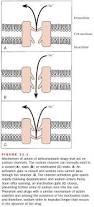 Image result for Sodium Channel Blocker