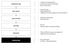 While tax preparers started to use special computers and. Dac 6 Tax Software Amana Consulting