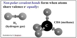 If you look at the lewis structure for ch4 it appears to be a symmetrical molecule. 2 3 Chemical Bonds Biology Libretexts