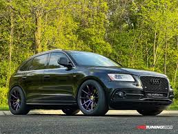 Image result for Azorean Green 2017 Q5