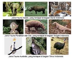 Kekayaan flora dan fauna di kalimantan selatan sedapat mungkin dipelihara sebagai bagian dari kekayaan sumber daya alam. Keragaman Flora Dan Fauna Di Indonesia Blog Pak Pandani