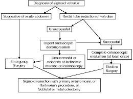 Pdf Management Of Acute Sigmoid Volvulus An Institution S Experience Over 9 Years Semantic Scholar