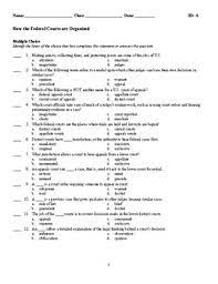 The Structure Of The Federal Court System Worksheet Answers