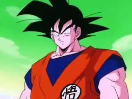 In the anime, the kame kanji even appears once again in the boo arc. What Is The Meaning Behind Goku S Symbol Quora