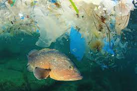 What Ocean Microplastics Are Really Made Of Oceana
