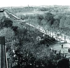 Ankara 21 Kasim 1938 Ataturk Un Tabutunun Gecisi Outdoor Farmland Vineyard