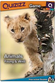 If you have seen these keep calm posters but aren't sure what they are, go to knowyourmeme.com for info on the background. Play This Quizizz Game Called Animals Young Wild This Interactive Quiz Uses Animated Gifs To Teach Facts About Animals Animal Quiz Kahoot Animals