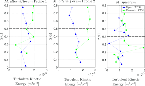 On some cars both sensors are the same part number, or the only difference is the length of wiring. Effect Of Two Distinct Patches Of Myriophyllum Species On Downstream Turbulence In A Natural River Springerlink