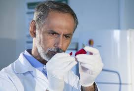 17 researchers from Embrapa are among the most influential in the world